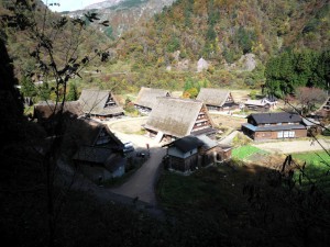 P1000081 P1000081