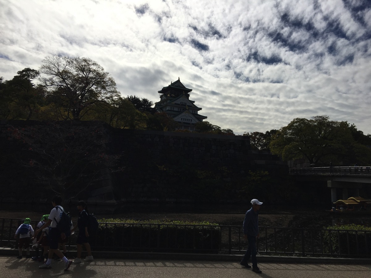 IMG_3407.JPG IMG 3407